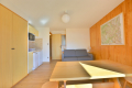 Apartment CHAMPAGNY-EN-VANOISE 4115480_3